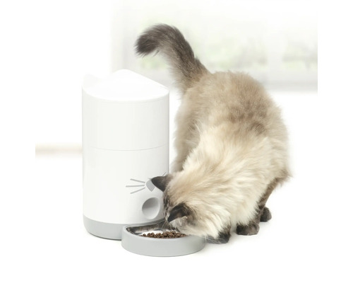 Katze frisst Trockenfutter aus einem Futterautomaten