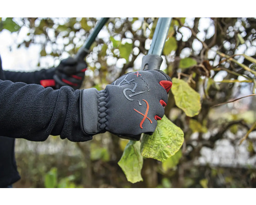 Eine Person mit Gartenhandschuhen schneidet eine Hecke mit einer Gartenschere.