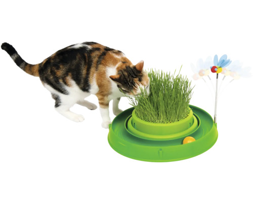 Katze frisst Katzengras in einem Katzenspielzeug mit Ball und Spielzeug-Insekt