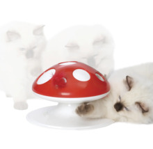 Katze spielt mit Katzenspielzeug in Form eines Pilzes
