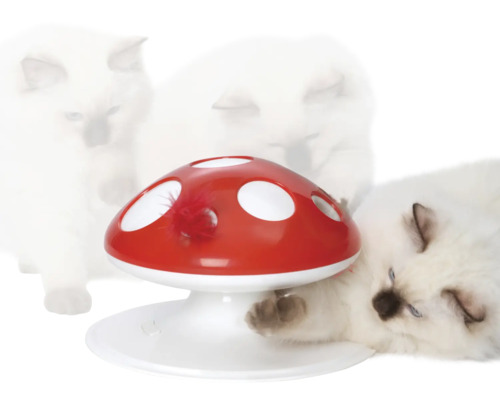 Katze spielt mit Katzenspielzeug in Form eines Pilzes