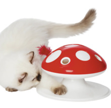 Katze spielt mit Intelligenzspielzeug in Form eines Pilzes