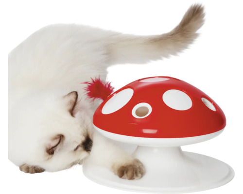 Katze spielt mit Intelligenzspielzeug in Form eines Pilzes