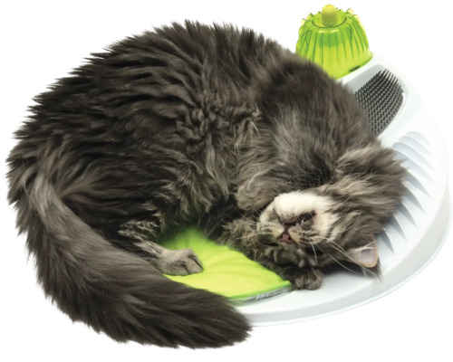 Katze liegt auf interaktivem Katzenspielzeug.