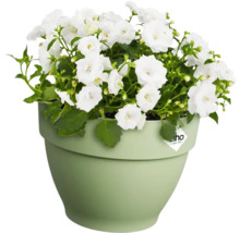 Blumentopf Pflanztopf Fallrohrpflanzgefäß Elho Vibia Campana Kunststoff 21,6 x 19,1 x 16,3 cm grün