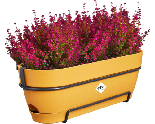 Blumenkasten aus Kunststoff mit Heidekraut und Halterung