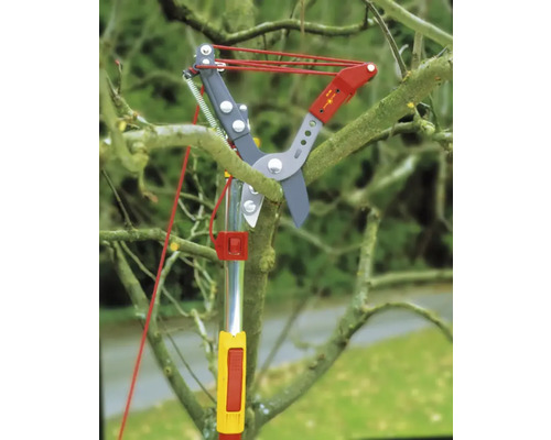 Astschere zum Beschneiden von Baumästen