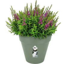 Blumentopf Pflanztopf Elho Loft Urban Kunststoff 28,5 x 28,5 x 26 cm grün