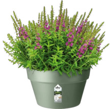 Blumentopf Pflanztopf Elho Loft Urban Kunststoff 34,5 x 34,5 x 20,2 cm grün