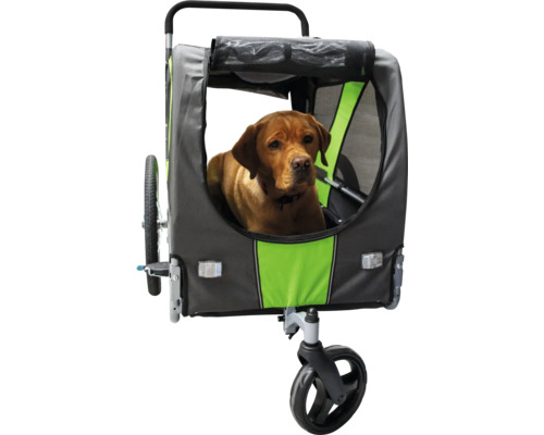 Hund in einem Fahrradanhänger für Hunde