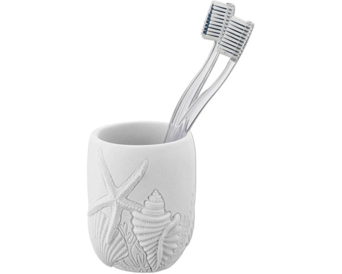 Zahnbürsten in einem Zahnputzbecher mit Seestern- und Muscheldekor