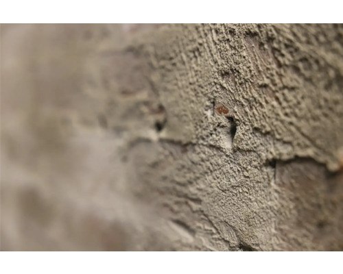 Nahaufnahme einer Ziegelmauer mit Putz