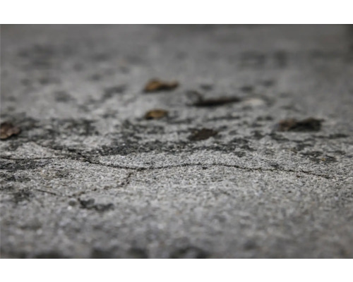 Betonboden mit Rissen und Laub
