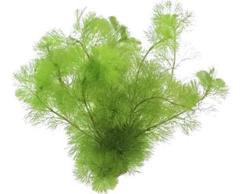 Künstliche Wasserpflanze für Aquarien