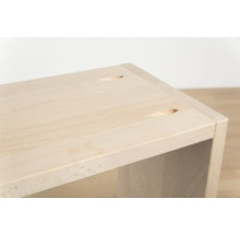 Spezial-Holzdübel für Wolfcraft Undercover Jig 12 St.