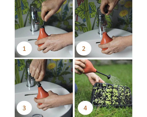 Bild zeigt die schrittweise Verwendung einer Gießhilfe zum Bewässern von Setzlingen.