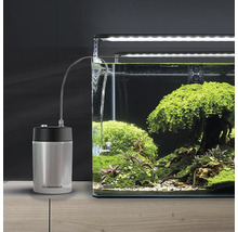 Aquarium mit CO2-Anlage und bepflanztem Becken