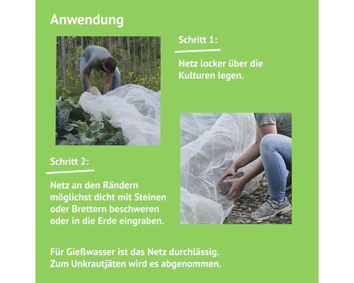 Anwendung eines Kulturschutznetzes in zwei Schritten: Das Netz wird locker über die Kulturen gelegt und an den Rändern mit Steinen beschwert oder in die Erde eingegraben.