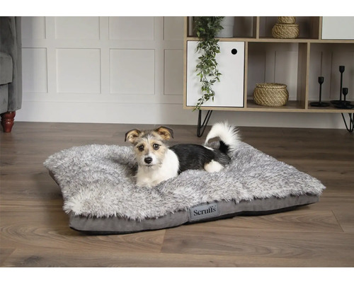 Hund liegt auf einem grauen, rechteckigen Hundebett von Scruffs in einem hellen Raum.