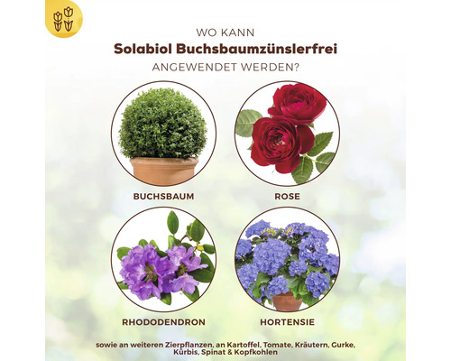 Anwendungsbereiche für Solabiol Buchsbaumzünslerfrei: Buchsbaum, Rose, Rhododendron, Hortensie sowie weitere Zierpflanzen, Kartoffeln, Tomaten, Kräuter, Gurken, Kürbis, Spinat und Kohl