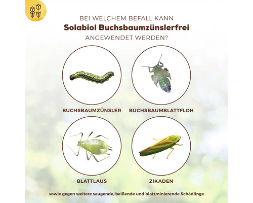 Anwendungsbereiche von Solabiol Buchsbaumzünslerfrei: Buchsbaumzünsler, Buchsbaumblattfloh, Blattlaus, Zikaden und andere saugende, beißende und blattminierende Schädlinge