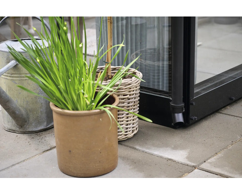 Außenaufnahme mit Pflanzen in Töpfen und Gießkanne vor einem Gewächshaus