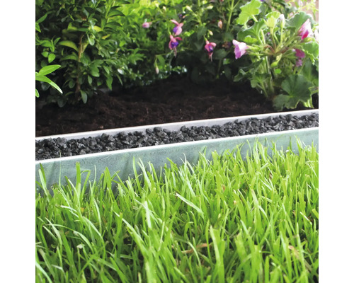 Nahaufnahme eines Gartens mit Rasen, Beetbegrenzung und Pflanzen