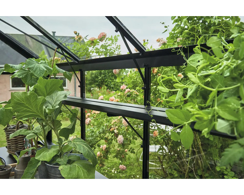 Innenansicht eines Gewächshauses mit Pflanzenregalen und diversen Gemüsesorten