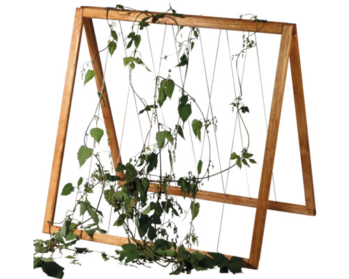 Freistehendes Rankgitter aus Holz mit Kletterpflanze