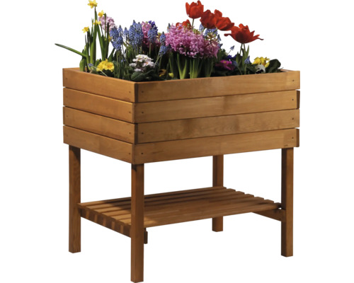 Hochbeet aus Holz mit Bepflanzung