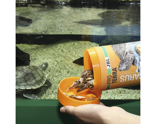 Futter für Wasserschildkröten wird in ein Aquarium gegeben