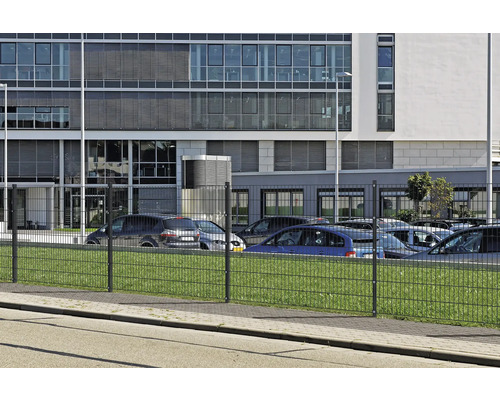 Doppelstabmattenzaun vor einem Bürogebäude mit geparkten Autos