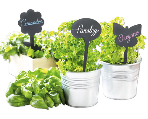 Kräutergarten mit Koriander, Petersilie, Oregano und Basilikum in Töpfen mit Kräuterschildern