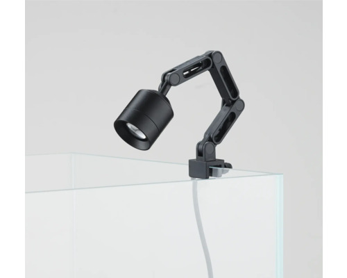 Schwarze Klemmleuchte zur Beleuchtung von Aquarien