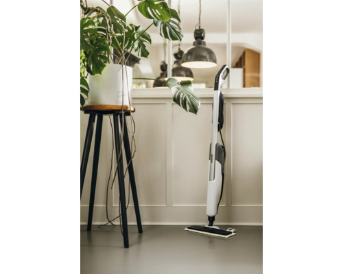 Dampfreiniger vor einer Wand mit Holzvertäfelung und einer Zimmerpflanze.