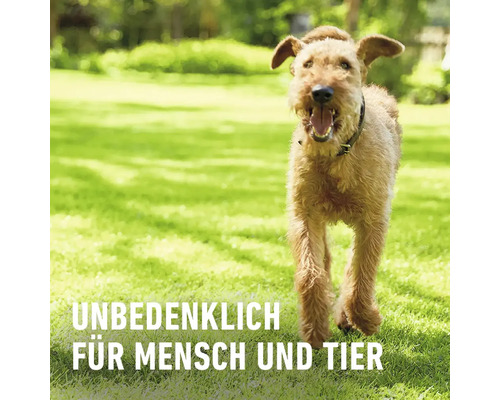 Ein Hund auf einer Rasenfläche mit dem Text Unbedenklich für Mensch und Tier