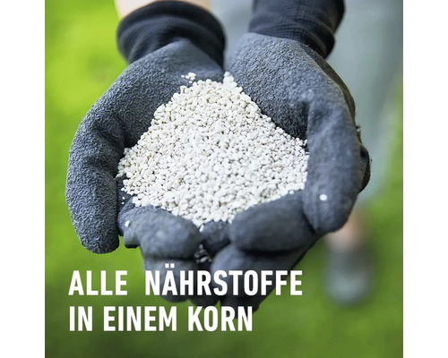 Eine Person hält Rasendünger in den Händen