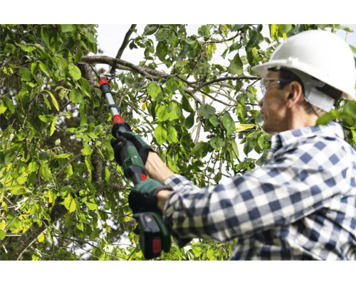 Mann schneidet Baum mit einer Akku-Hochentastersäge