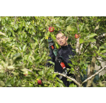 Akku-Gartenschere Bosch Advanced Prune 18 V-45, ohne Akku und Ladegerät inkl. Verlängerungsstange