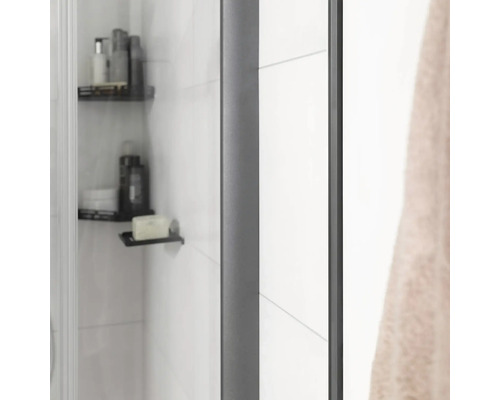 Detailaufnahme einer Duschkabine mit Ablagen und Pflegeprodukten