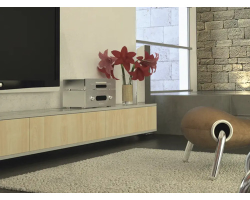 Wohnzimmer mit Lowboard, elektronischen Geräten und Dekoration