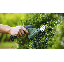 Person schneidet mit einer Bosch Strauchschere eine Hecke.