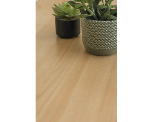 Zwei Pflanzen in Töpfen auf einer Holzoberfläche