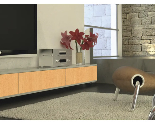Wohnzimmer mit TV, Lowboard, Zimmerpflanze und Sessel