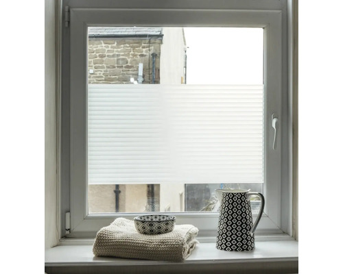 Fenster mit angebrachtem Plissee-Rollo zur Lichtregulierung und Privatsphäre.