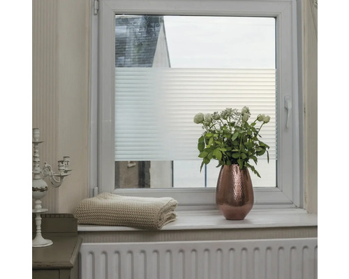 Fenster mit halbtransparentem Plissee, Dekoration und Heizkörper