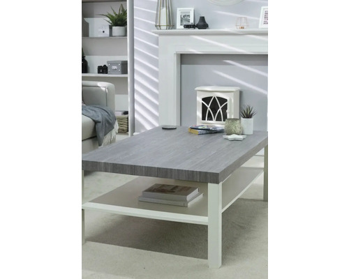 Wohnzimmer mit Couch, Regal, Kamin und grauem Couchtisch mit Ablage