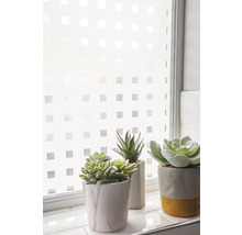 Fenster mit Sichtschutzfolie und dekorativen Sukkulenten in Töpfen.