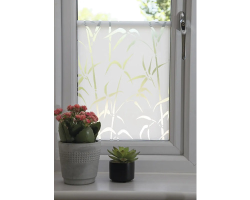 Fenster mit Milchglasfolie und Bambusmuster, dekoriert mit zwei Topfpflanzen
