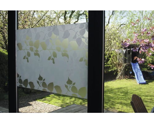 Fensterfolie mit Blattmuster auf einer Glasscheibe